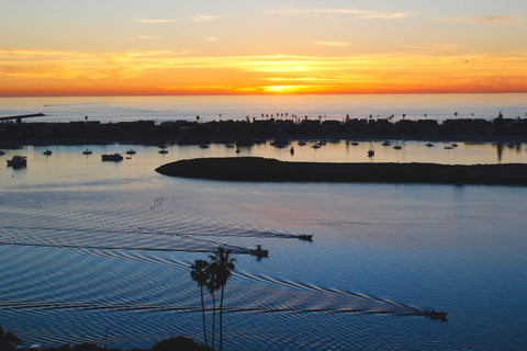 Sunset over a coastal scene with boats and palm trees.  Shot in San Diego, California. © Randy Dible Photo