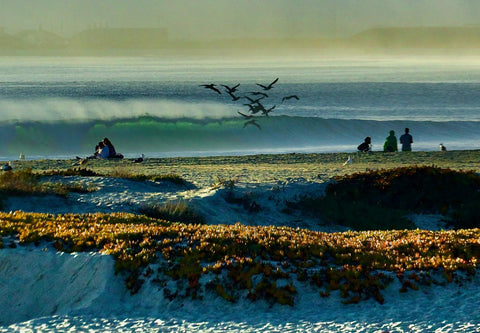 People sitting on a sandy beach with waves and birds flying overhead. Shot in San Diego, California. © Randy Dible Photo