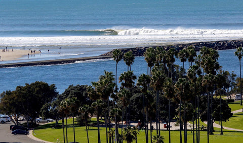 Beach scene with palm trees, ocean waves, and a clear sky. Shot in San Diego, California. © Randy Dible Photo