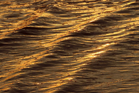 Waves on water with a golden reflection. Shot in San Diego, California. © Randy Dible Photo