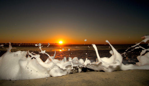 Foam Home Ocean Beach