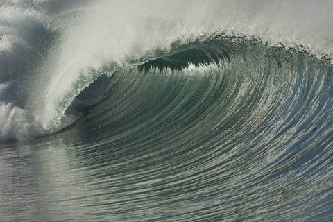 Large wave with white foam cresting in the ocean. Shot in San Diego, California. © Randy Dible Photo