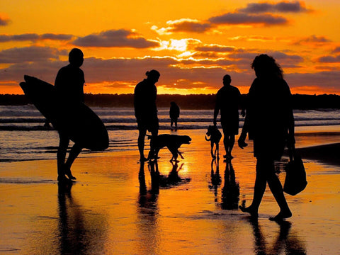 Silhouettes of people and dogs on a beach at sunset. Shot in San Diego, California. © Randy Dible Photo