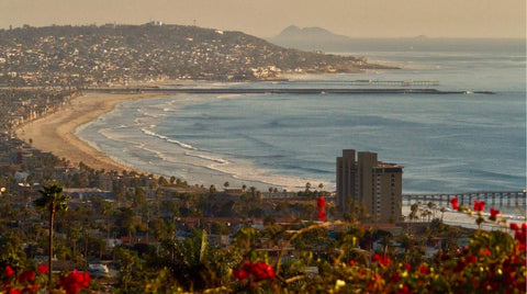 Cityscape with beach and ocean view from a high vantage point.  Shot in San Diego, California. © Randy Dible Photo