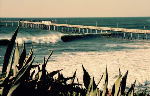 Surfing at a pier with waves crashing against it, surrounded by tall plants. Shot in San Diego, California. © Randy Dible Photo