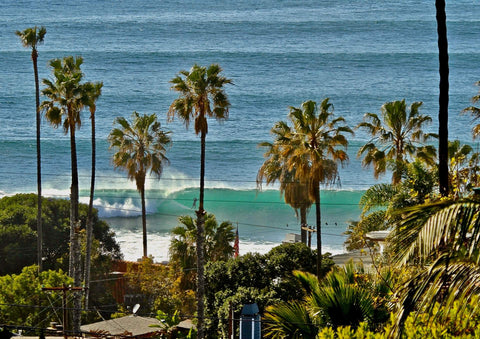 Ocean view with palm trees and a clear sky. Shot in San Diego, California. © Randy Dible Photo