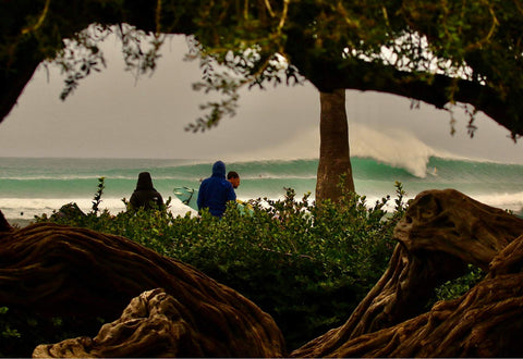 Two people standing on a beach with waves and trees in the foreground.  Shot in San Diego, California. © Randy Dible Photo